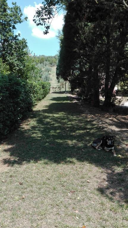 Agriturismo San Lino-Gilberto ماسا ماريتيما المظهر الخارجي الصورة